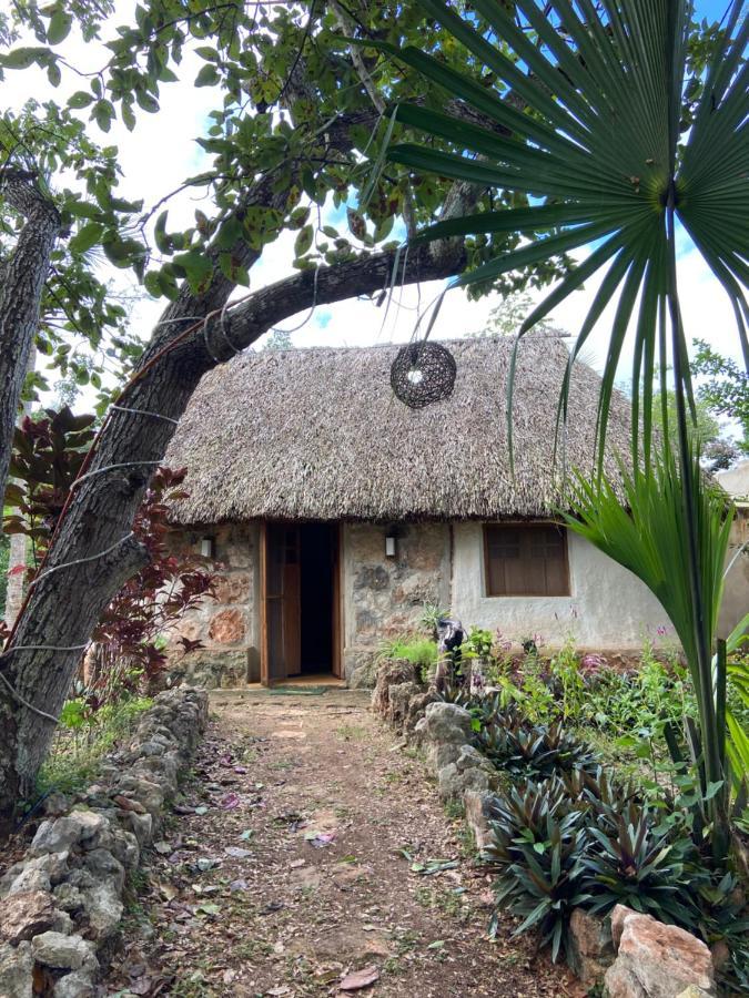 Encantadora Villa Maya Tradicional En Rancho Agroecologico Tzucaceb Екстериор снимка