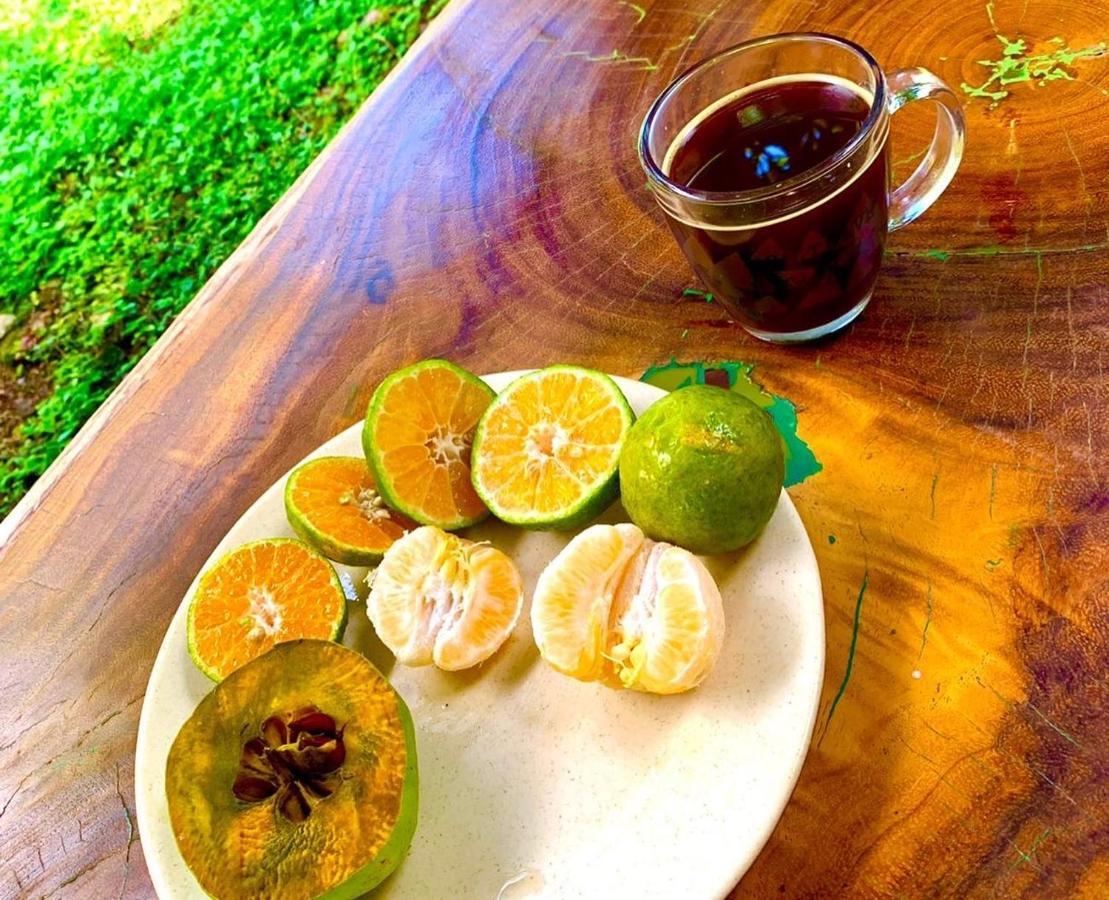 Encantadora Villa Maya Tradicional En Rancho Agroecologico Tzucaceb Екстериор снимка