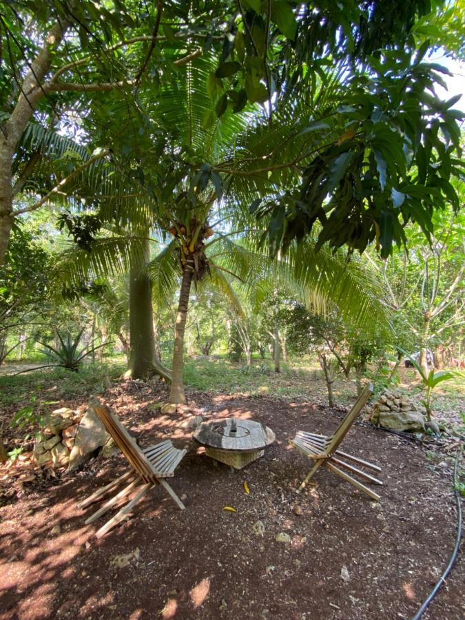 Encantadora Villa Maya Tradicional En Rancho Agroecologico Tzucaceb Екстериор снимка