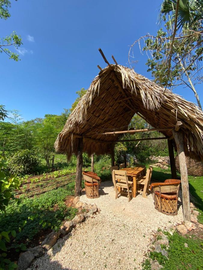 Encantadora Villa Maya Tradicional En Rancho Agroecologico Tzucaceb Екстериор снимка