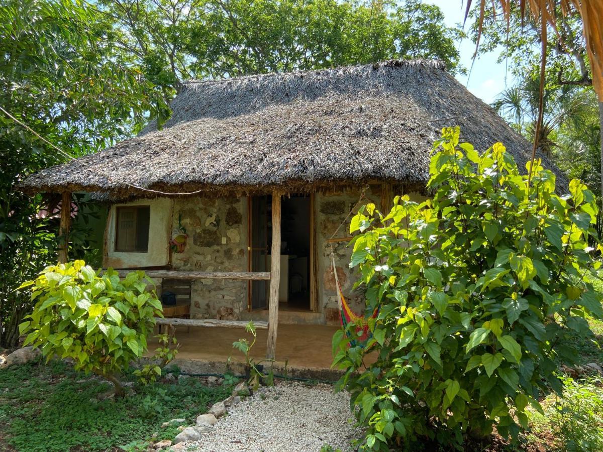 Encantadora Villa Maya Tradicional En Rancho Agroecologico Tzucaceb Екстериор снимка