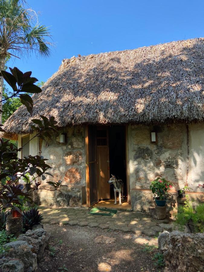 Encantadora Villa Maya Tradicional En Rancho Agroecologico Tzucaceb Екстериор снимка