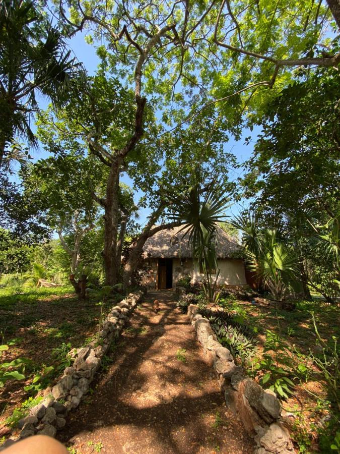 Encantadora Villa Maya Tradicional En Rancho Agroecologico Tzucaceb Екстериор снимка