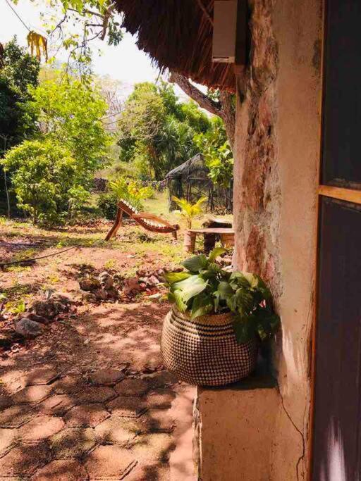 Encantadora Villa Maya Tradicional En Rancho Agroecologico Tzucaceb Екстериор снимка