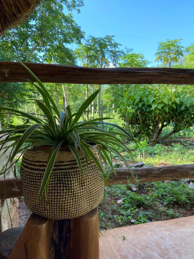 Encantadora Villa Maya Tradicional En Rancho Agroecologico Tzucaceb Екстериор снимка