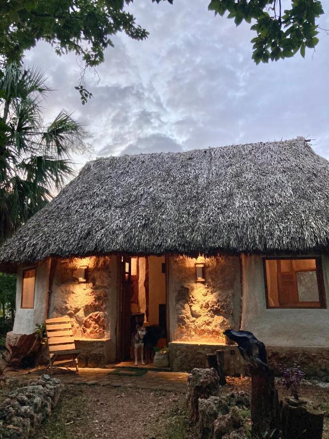 Encantadora Villa Maya Tradicional En Rancho Agroecologico Tzucaceb Екстериор снимка