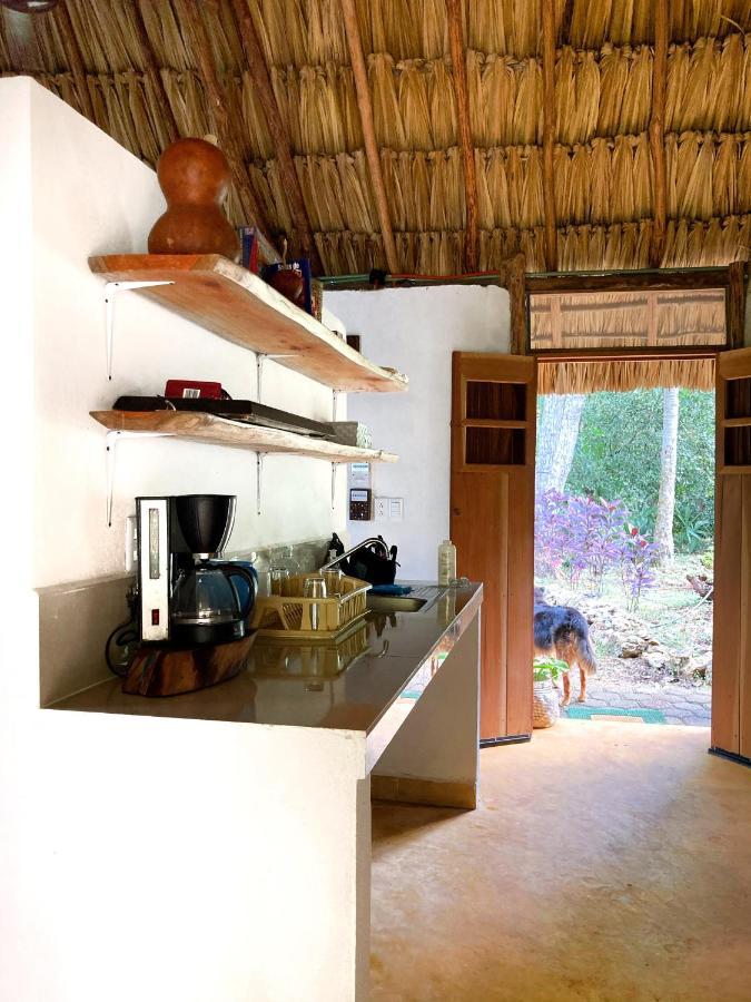 Encantadora Villa Maya Tradicional En Rancho Agroecologico Tzucaceb Екстериор снимка