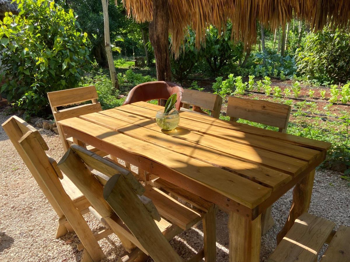 Encantadora Villa Maya Tradicional En Rancho Agroecologico Tzucaceb Екстериор снимка