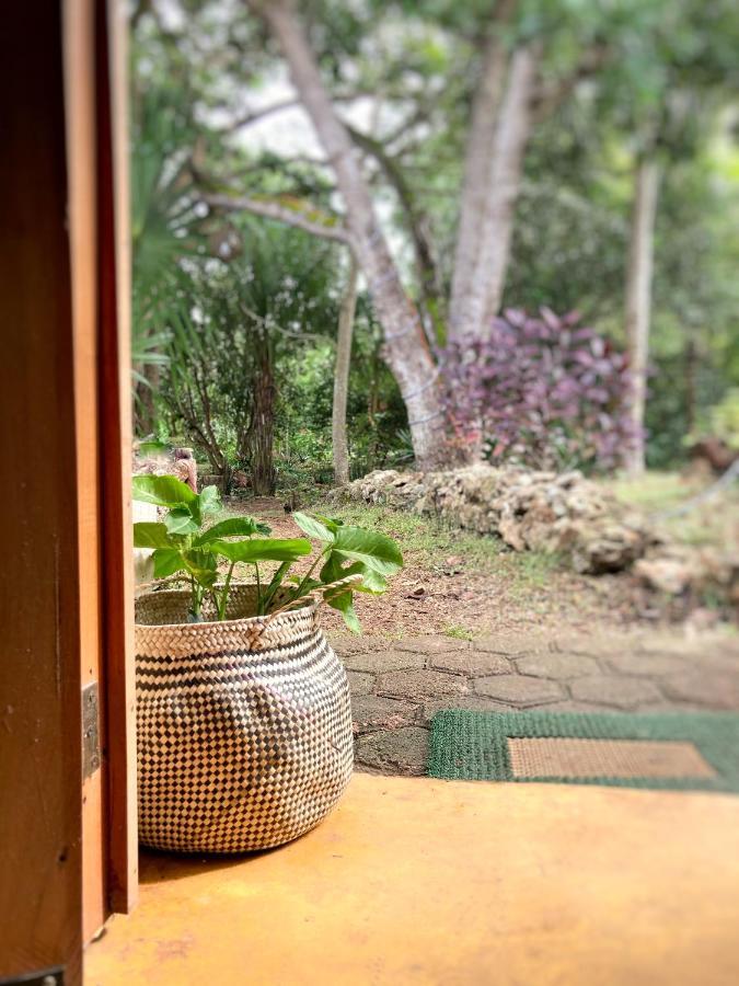 Encantadora Villa Maya Tradicional En Rancho Agroecologico Tzucaceb Екстериор снимка